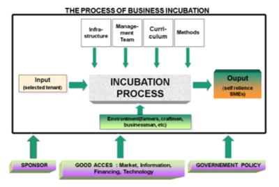 The Process of Business Incubation