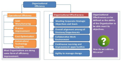 Organizational Efficiency
