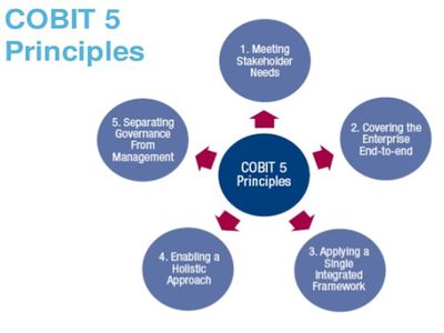 COBIT5 Principles