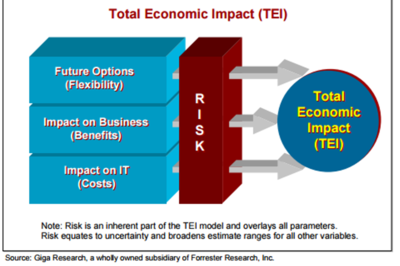 Total Economic Impact (TEI)