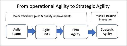 From Operational Agility to Strategic Agility