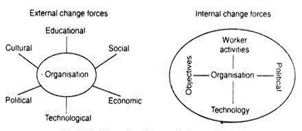 External and Internal Forces of Organizational Change