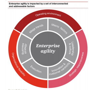 Enterprise Agility