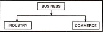 Business Activity Classification