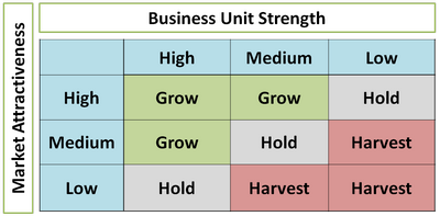 GE/McKinsey Matrix