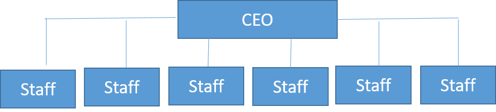 flat-organizational-structure