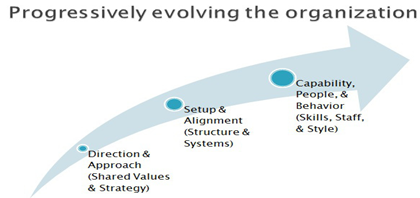 7S Model Organizational Analysis