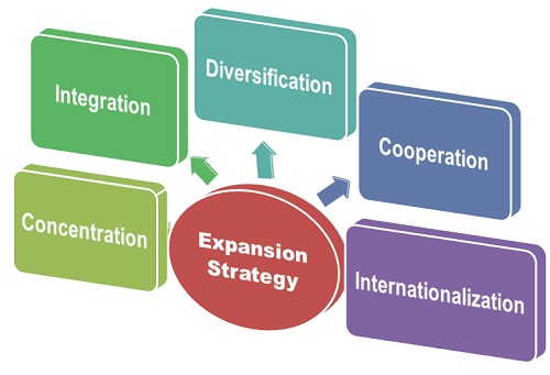 business-expansion-cio-wiki