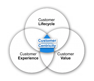 Customer Centricity Model