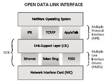 File:OSI user layers.png - Wikimedia Commons