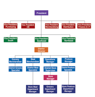 Vertical Organizational Structure - CIO Wiki