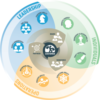 Business Agility Domains