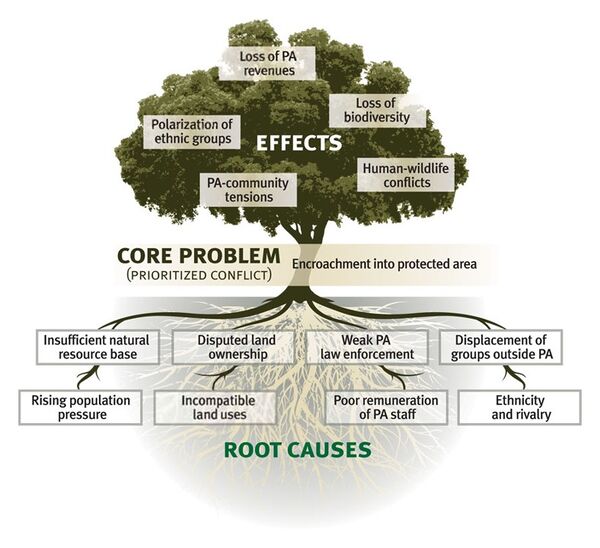 problem solving process tree