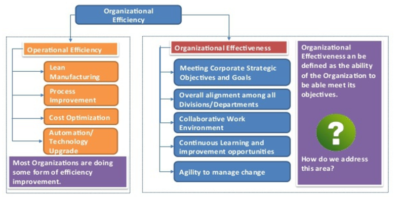 Improved Organizational Efficiency