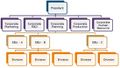 Strategic Business Unit Structure.jpg