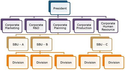 Strategic Business Unit Structure