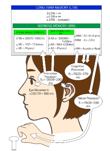 Model Human Processor (MHP) - CIO Wiki