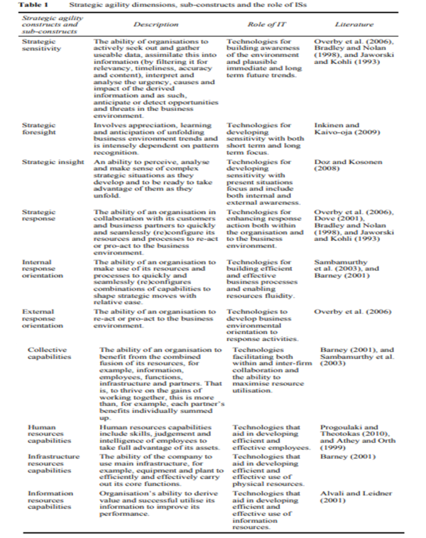 Strategic Agility Subconstructs