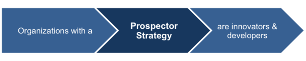 Prospector Strategy