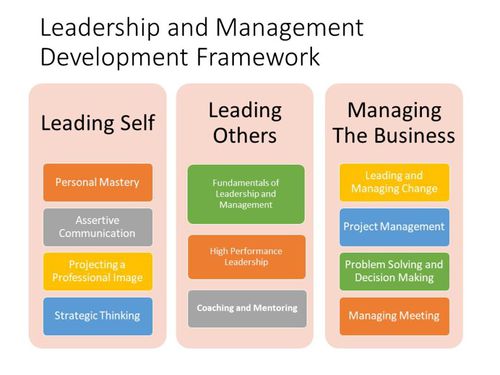 Management Development Framework