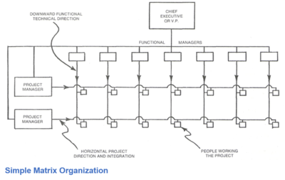 Matrix Organization