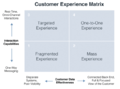 Customer Experience Matrix.png