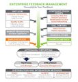 Enterprise Feedback Management.jpg