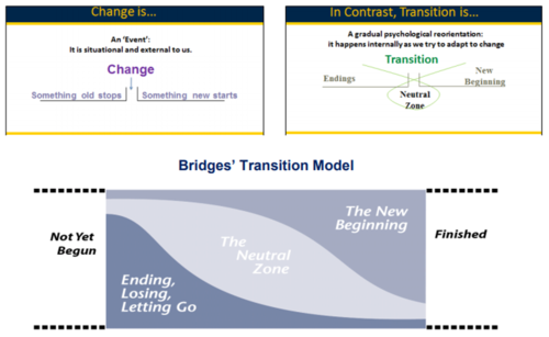 Bridges' Transition Model
