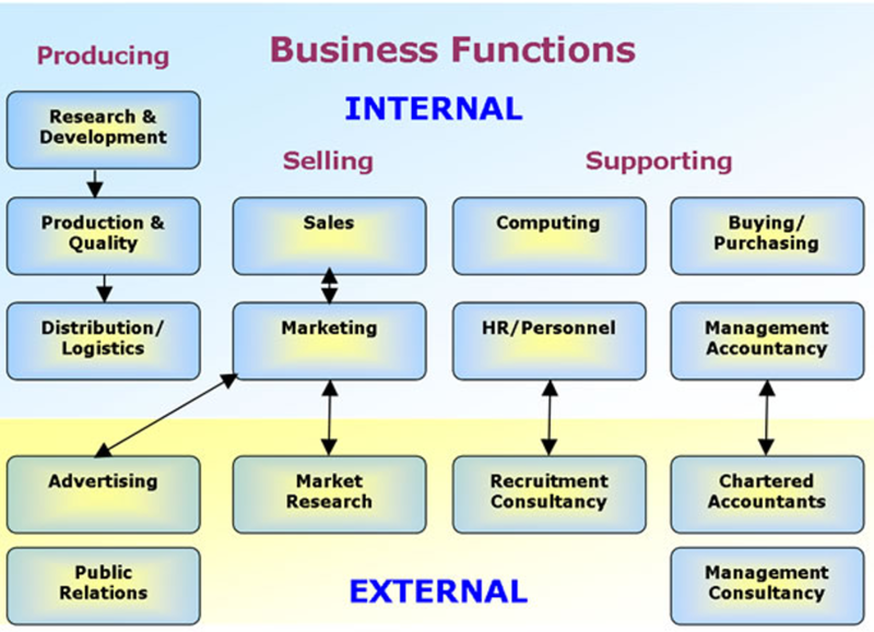 explain what is meant by business function