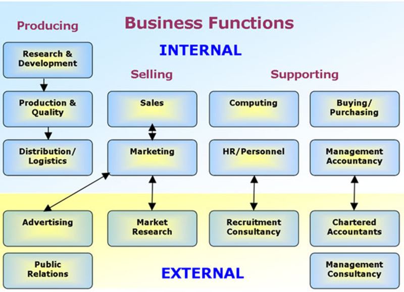 Business functions. Management Accounting functions. Marketing functions. Marketing function in Management.