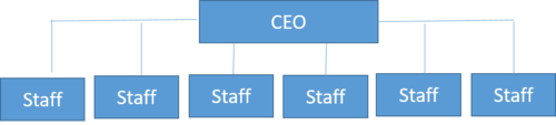 Flat Organization