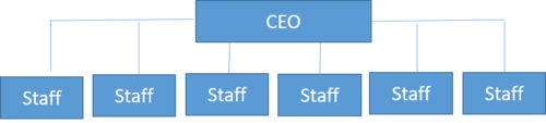 flat-organizational-structure-cio-wiki