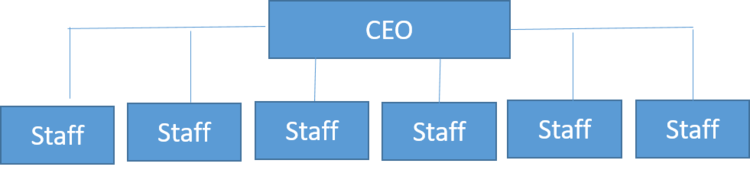 flat-organizational-structure-cio-wiki