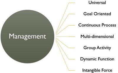 Characteristics of Management