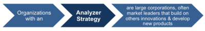 Analyzer Strategy