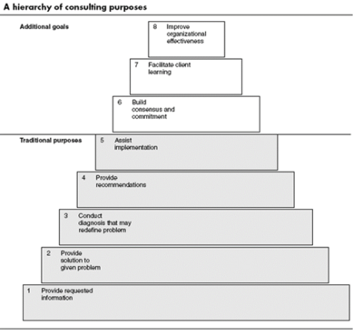 Hierarchy of Consulting Purposes