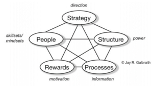 The Star Model for Organization Design