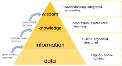 Data to wisdom