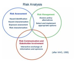 What is Risk Analysis