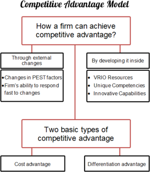 Competitive Advantage Model