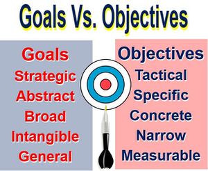 Business Objectives Vs. Business Goals