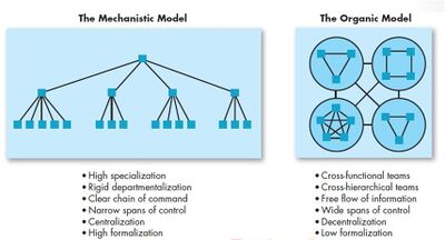 Mechanistic Vs. Organic Model of Organization