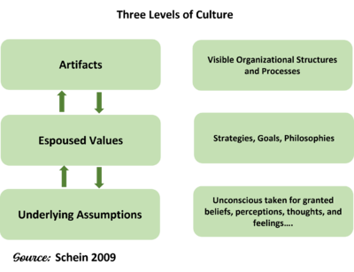 Three Levels of Culture