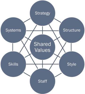 Shared Value of 7S Model