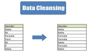 Data Cleaning