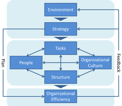 Organizational Efficiency Survey