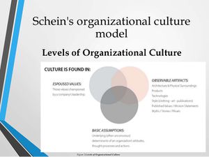 Schein's Organizational Culture Model