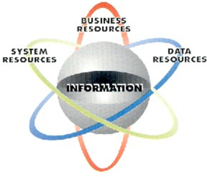 Information Resource Management (IRM)