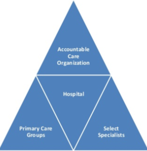 ACO traditional Model