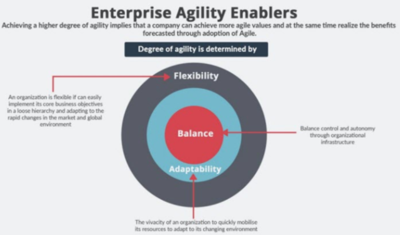 Enterprise Agility Enablers